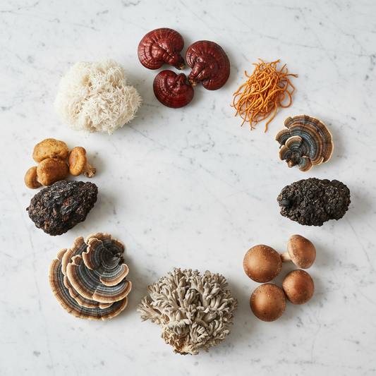 Mushroom Supplement Benefits: 10 Compounds Worth Knowing